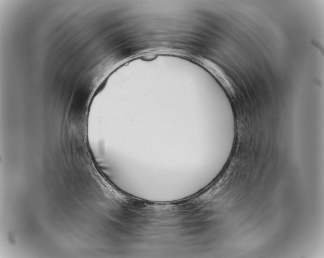 X0000096141244200802081341