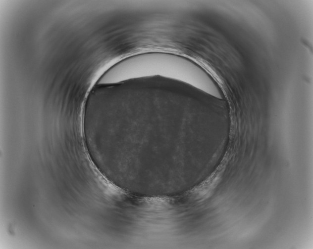 X0000096141246200802081341