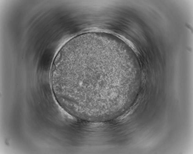X0000096141247200802081341