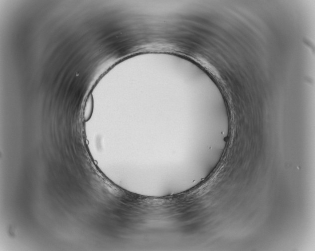 X0000096141248200802081341