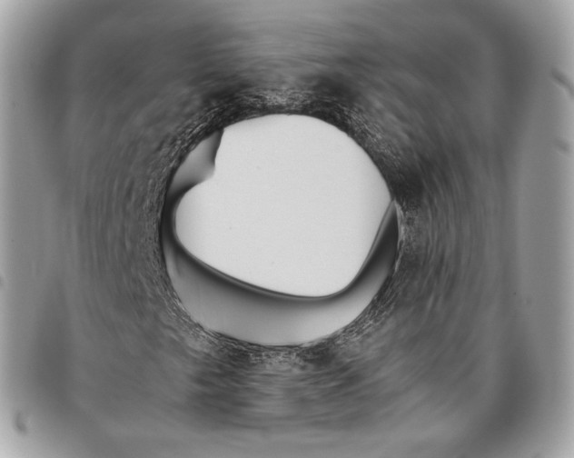 X0000096141249200802081340