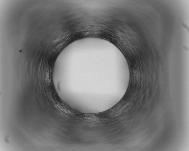 X0000096141250200802081340