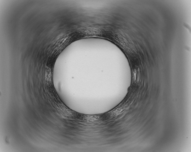 X0000096141251200802081340