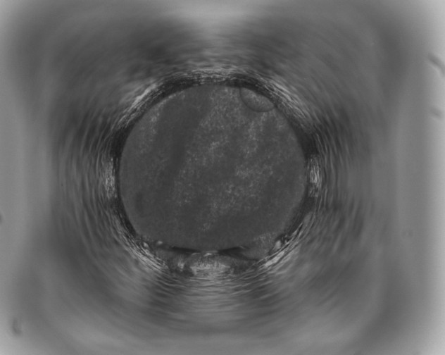 X0000096141252200802081340