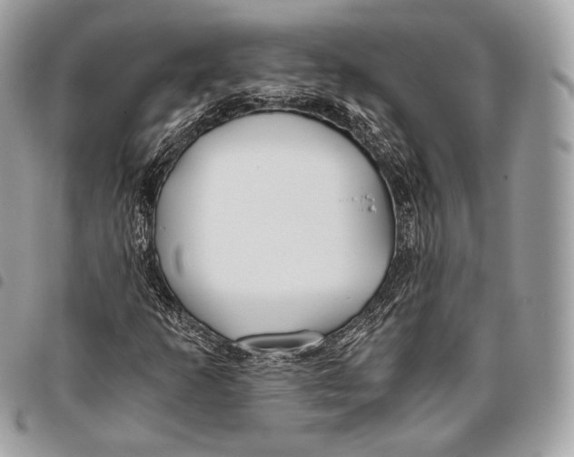 X0000096141253200802081340