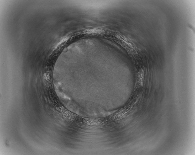 X0000096141254200802081340