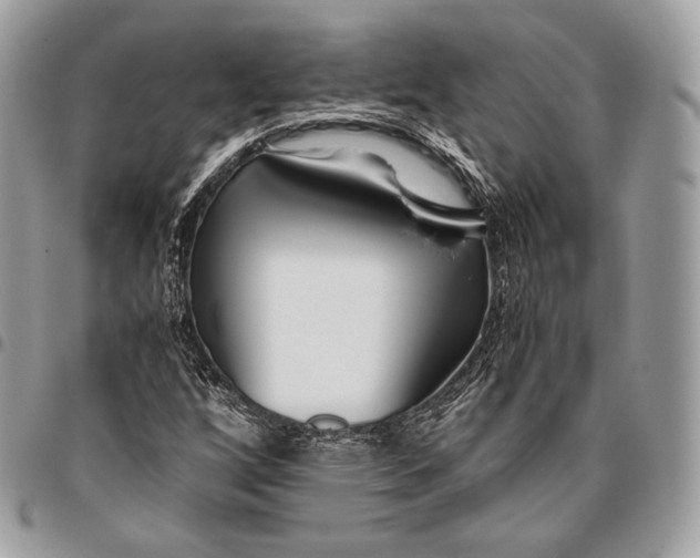 X0000096141256200802081340