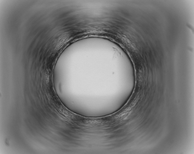X0000096141257200802081340
