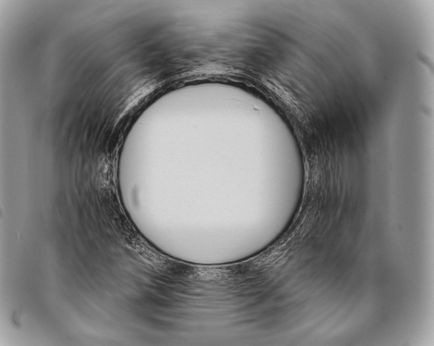 X0000096141258200802081340