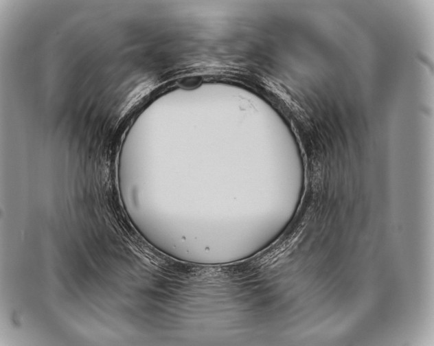 X0000096141259200802081340