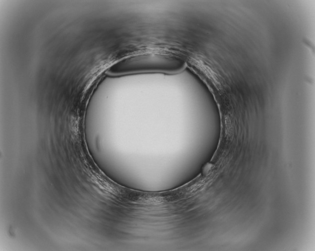 X0000096141260200802081340