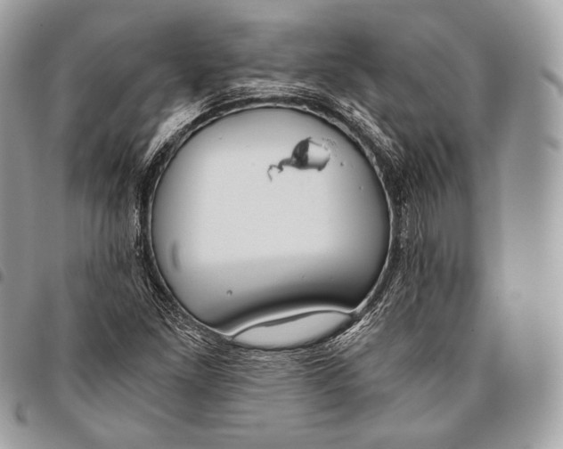 X0000096141261200802081340
