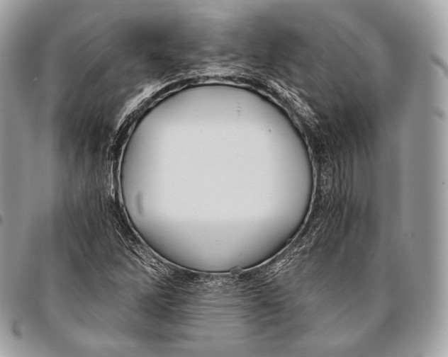 X0000096141262200802081340