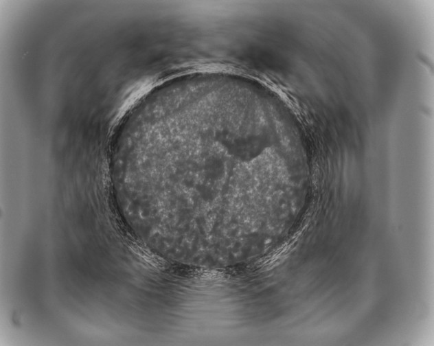 X0000096141263200802081340