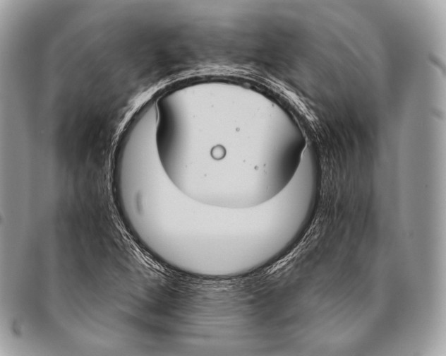 X0000096141264200802081340