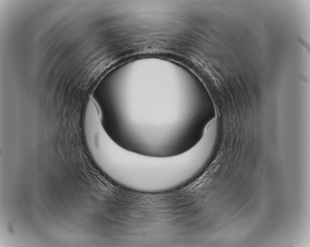 X0000096141265200802081340