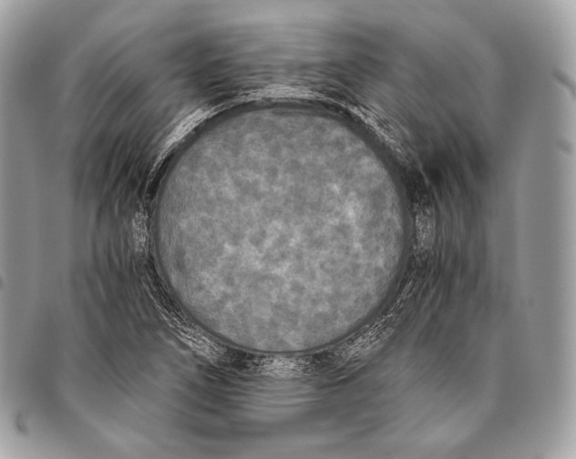 X0000096141266200802081340