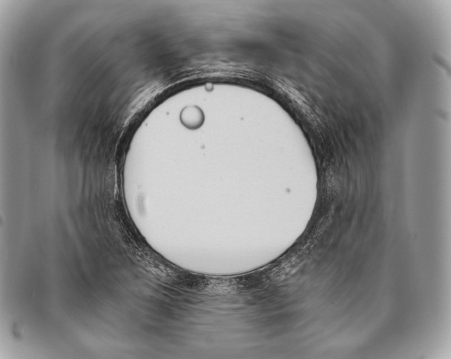 X0000096141267200802081340