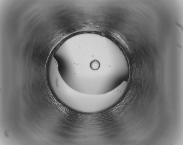 X0000096141268200802081340