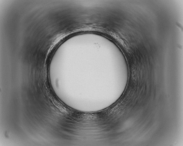 X0000096141270200802081340