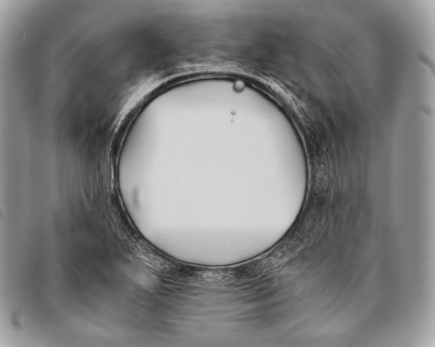 X0000096141271200802081340