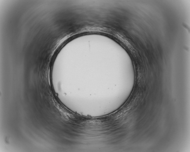 X0000096141272200802081340