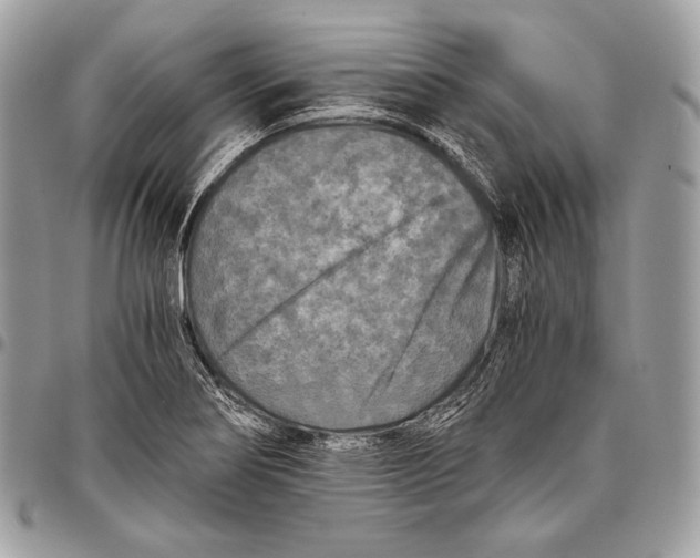 X0000096141274200802081340