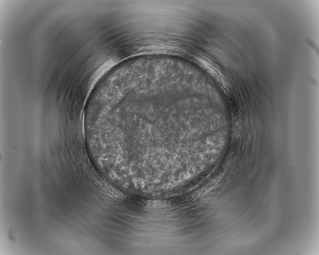 X0000096141275200802081340