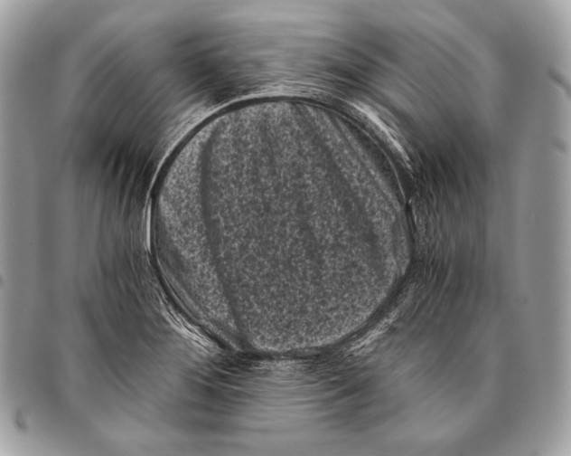 X0000096141276200802081340
