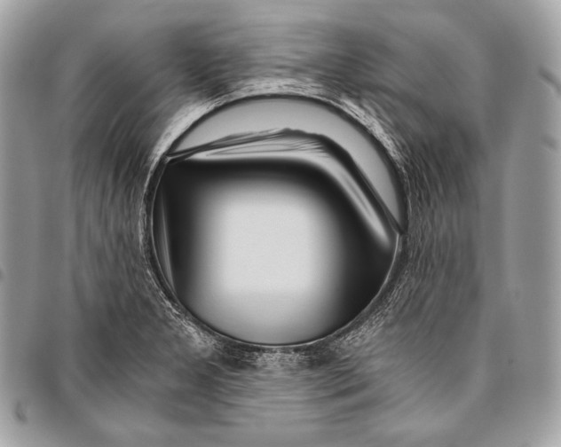 X0000096141277200802081340