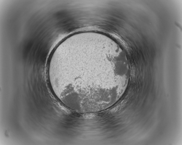 X0000096141278200802081340