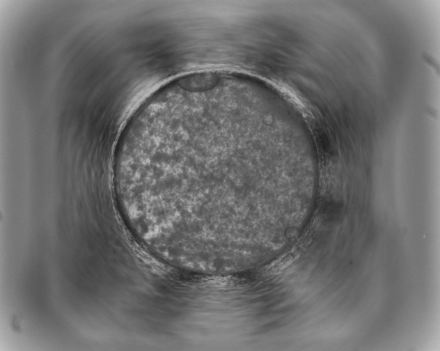 X0000096141279200802081340
