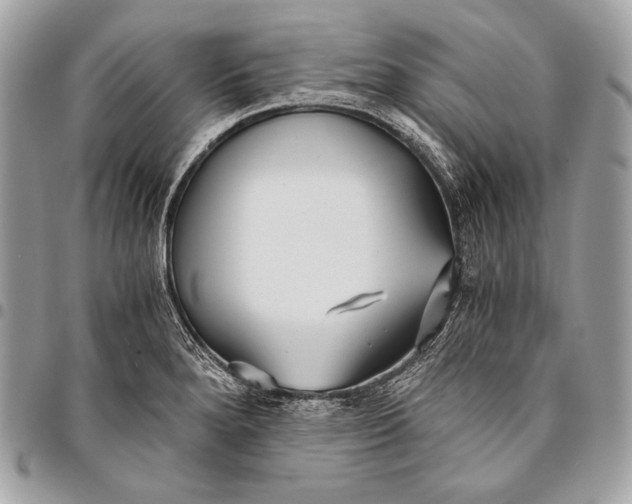 X0000096141280200802081340
