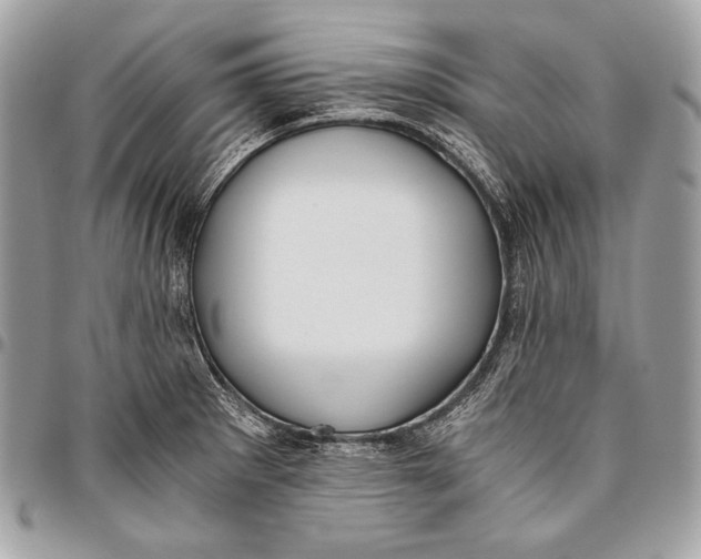 X0000096141281200802081340