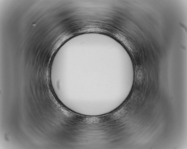 X0000096141282200802081340
