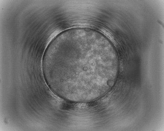 X0000096141283200802081339
