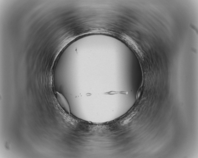 X0000096141284200802081339