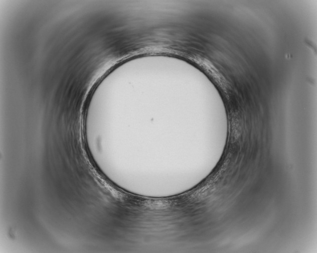 X0000096141286200802081339