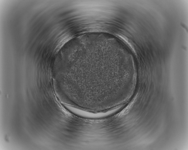 X0000096141289200802081339