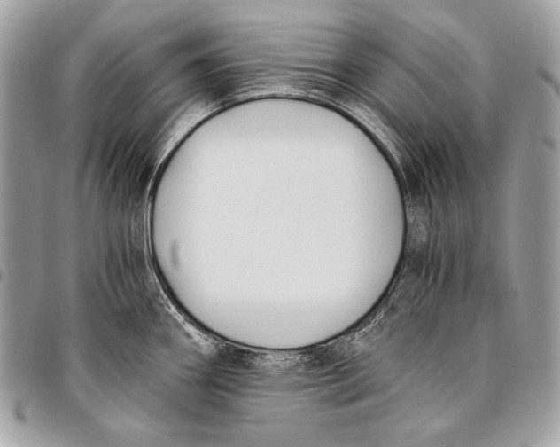 X0000096141290200802081339