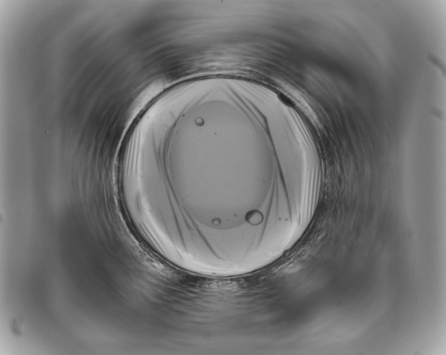 X0000096141291200802081339