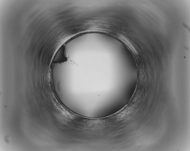 X0000096141292200802081339