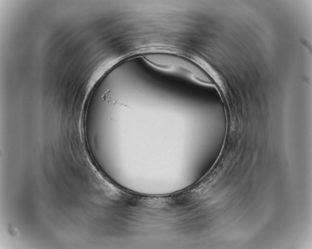 X0000096141293200802081339