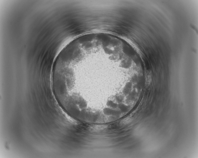 X0000096141294200802081339