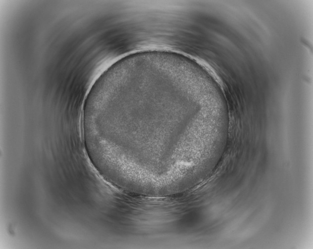 X0000096141295200802081339
