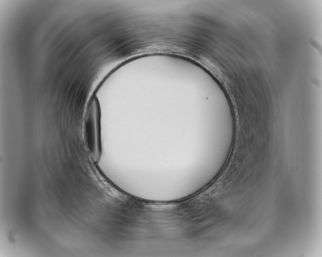 X0000096141296200802081339