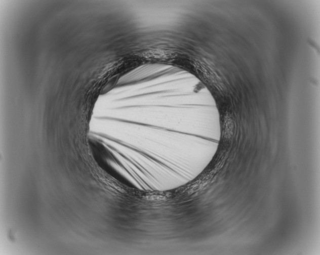 X0000096141297200802081338