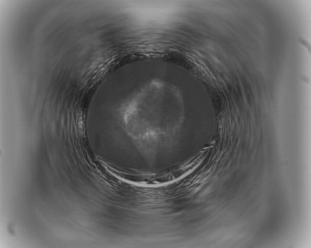 X0000096141298200802081339