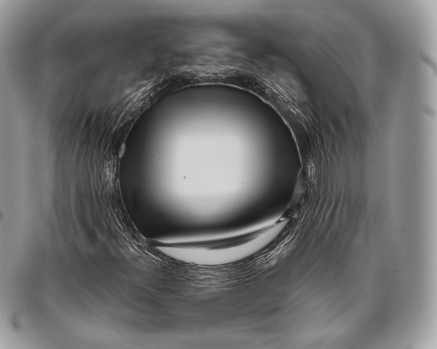 X0000096141300200802081339