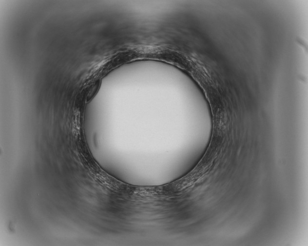 X0000096141301200802081339